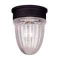 KP-5-4901C-31 Потолочный светильник Jelly Jar