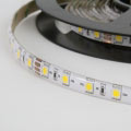 LED Flexi strip (12V) IP65 Astro, светодиодная полоса