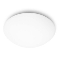 71680 Linealight Opale белый Ceiling light, настенный светильник