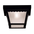 07044-BLK Потолочный светильник Exterior Collections